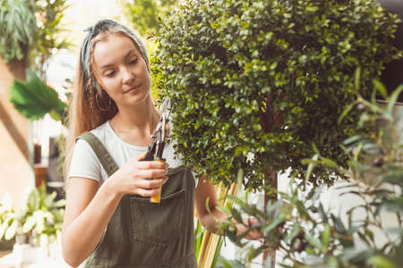 Young female gardener shapes bush with scissors at home gardenの写真素材