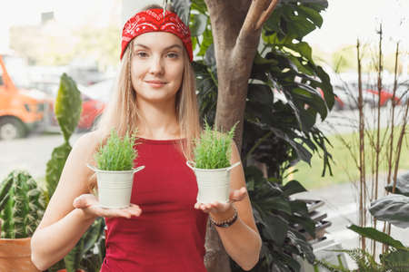 Blonde beautiful woman holding two flower pots at greenhouse. Concept of growing plants indoors, houseplant care, flowersの写真素材