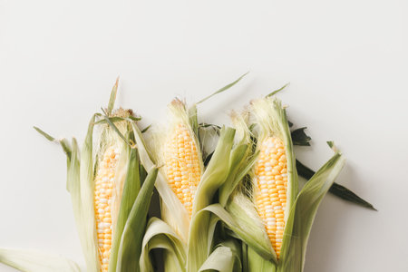 Fresh corn on cob with husk on white, flat lay, top view. Vegan food, agricultureの写真素材