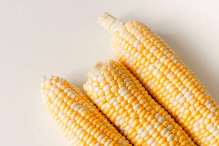 Fresh corn on cob with husk on white, flat lay, top view. Vegan food, agriculture