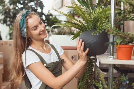 Woman in greenhouse standing fern in pot on rack.の写真素材