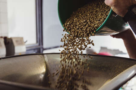 Entrepreneur pouring raw coffee beans into a modern roasting machine.の写真素材