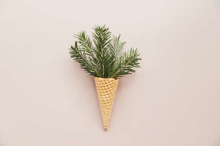 Edible waffle cone with evergreen branches and waffle cone in the middle on cream color background. Concept Christmas greeting card.の写真素材