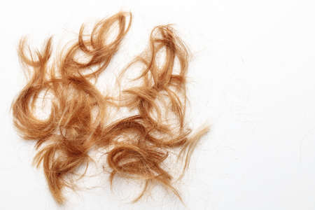 Very disheveled black hair isolated on white background. Bad hair clipart. back view.の写真素材
