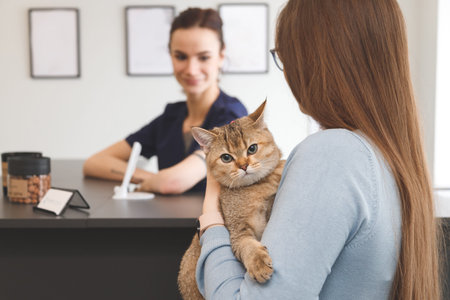 Young woman with cat at the reception in vet clinic. Animal health care concept.の写真素材