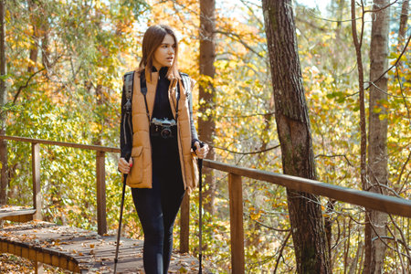 Woman tourist with backpack and walking poles in the forestの写真素材