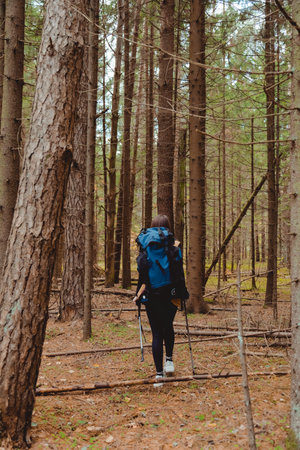 Young woman backpacker with poles hiking alone through the forest, back viewの写真素材