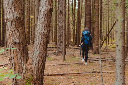 Young woman backpacker with poles hiking alone through the forest, back viewの写真素材