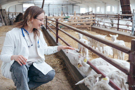 Young veterinarian woman examining a goats at ranch. Animal likes the woman hands. Animal care and ecological farming conceptの写真素材