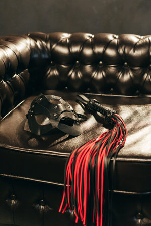 Whip and cat mask for BDSM on leather armchair. The game of sexual slavery with a whip and cat mask. Intimate sex games.の写真素材