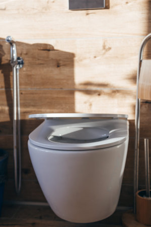 Hanging toilet with soft closing toilet seat lid hinge.