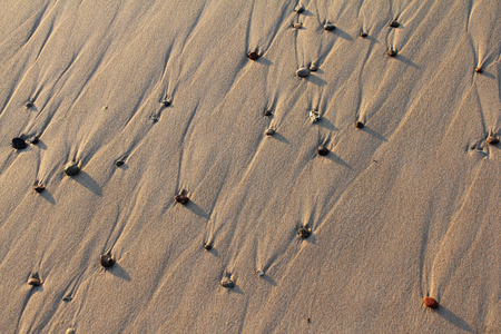 Rolling stones on the beach washed in wavesの写真素材