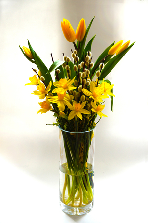 Easter bouquet, spring flowers tulips, narcissi and willow budsの写真素材