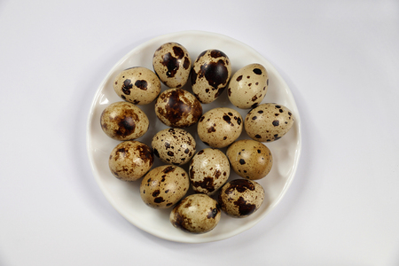 Small quail eggs on a white plate on a light backgroundの写真素材