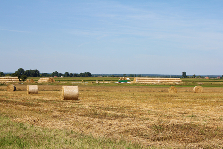 Rural landscape after harvest, bales of strawの写真素材