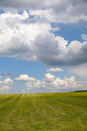 Storm clouds are moving quickly on the fields, vertical frameの写真素材