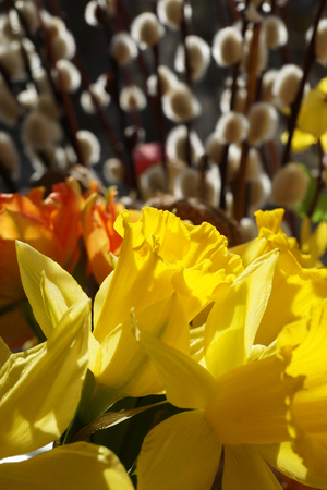 Nice accent of the Easter table, a vase with spring flowersの写真素材