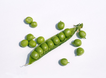 A few grains of green peas on a white background and a pod with exposed grains.の写真素材