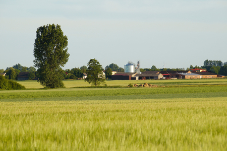 Rural landscape in the background view of the buildings. Silo for feed.の写真素材