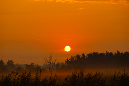 Sunrise with morning mists. Fields, meadows and forest.の写真素材
