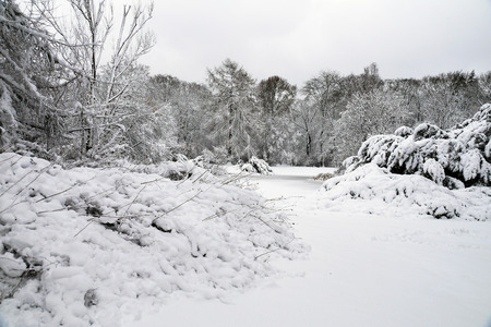 Romantic, moody winter landscape with a frozen lake. Snowy winter.の写真素材