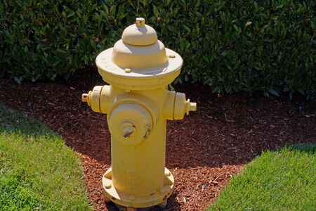A fragment of the garden. Yellow fire hydrant.の写真素材