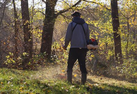 Autumn gardening. Cutting excessively grown grass with a brushcutter.の写真素材