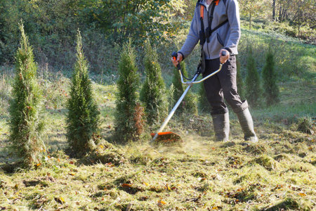 Autumn gardening. Cutting excessively overgrown grass with a brush cutter. 