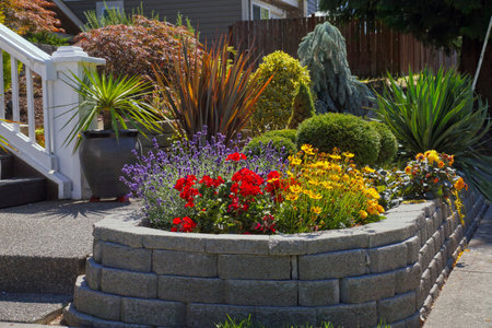 Mini garden planted with various plants. Entrance to the house. 