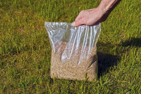 Spring lawn setting. The gardener presents grass seeds in a plastic wrap.の写真素材