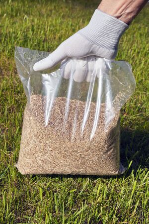 Spring lawn setting. The gardener presents grass seeds in a plastic wrap.の写真素材