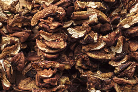 Strings of dried mushrooms. In many countries, an essential addition to sauces and dishes.の写真素材