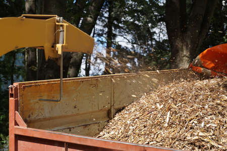 Cleaning works in the park. Branch crusher in action. Loading on a truck.の写真素材