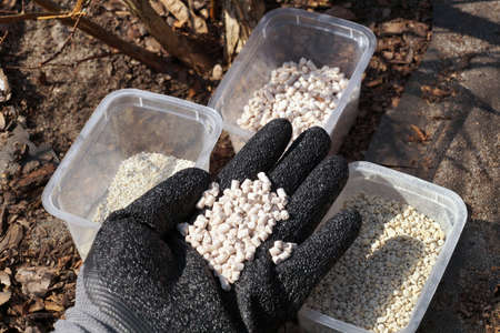 A gloved hand filled with plant fertilizer. Fertilizing plants in the garden.の写真素材