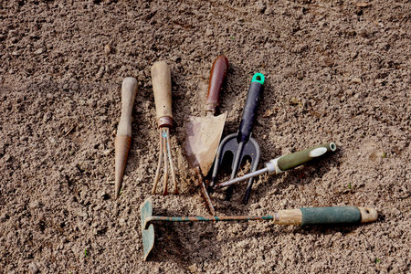 Preparation for work in the home garden. Used garden tools.の写真素材
