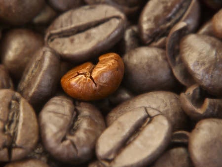 coffe beans closeup isolatedの写真素材