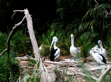 Visual moments from a great international zoo park - Faunaの写真素材