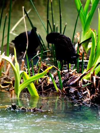 Visual moments from a great international zoo park - Faunaの写真素材