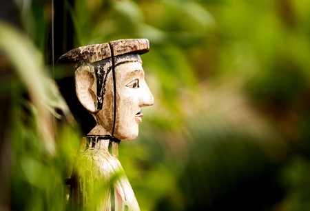 Visual moments from a great international zoo park - Flora の写真素材