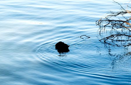 Visual moments from a great international sporting  event - people, moments and  objectsの写真素材