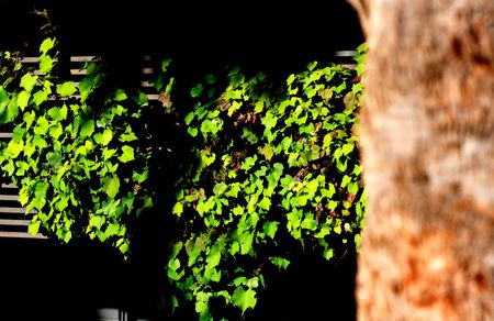 Visual moments from a great international sporting  event - people, moments and  objectsの写真素材