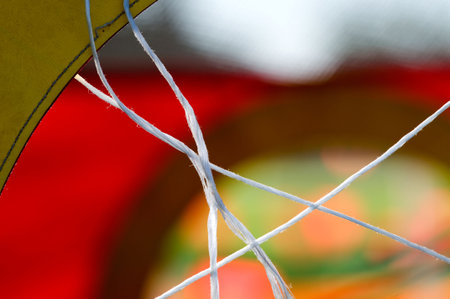Visual moments from a great international sporting  event - people, moments and  objects