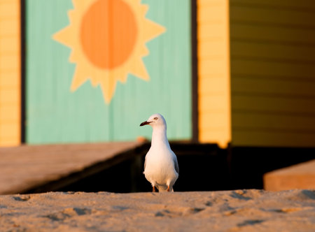 About nature, children and fun under the sun