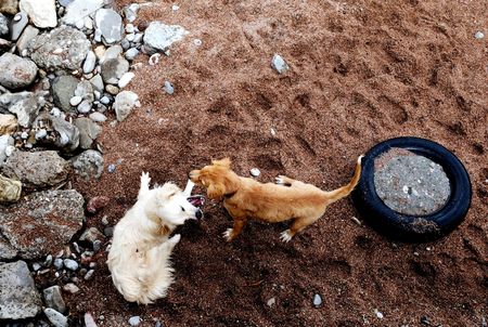 Photo stories about the Adriatic Sea and nature that is well preserved and unspoiledの写真素材