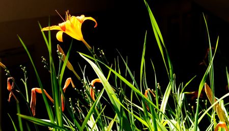 Photo stories about the Adriatic Sea and nature that is well preserved and unspoiledの写真素材