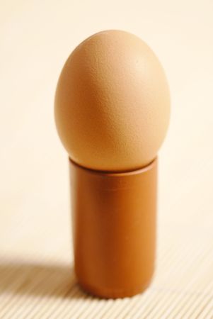 Egg in the small standの写真素材