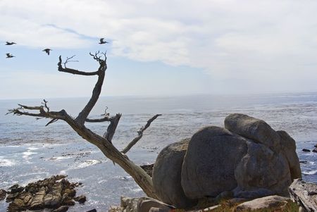 North California coastの写真素材