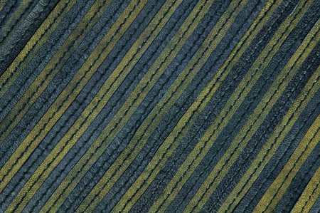 Leather strips pattern - details of modern jacket