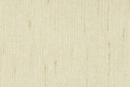 Wallpaper pattern - closeup detailsの写真素材