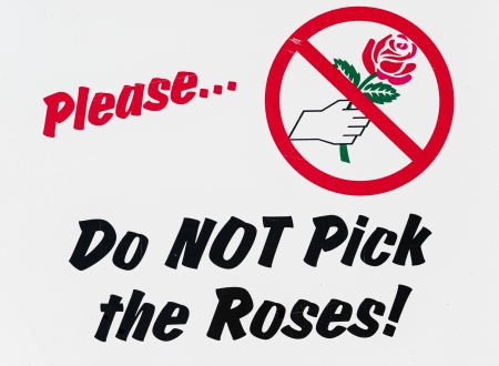 Colorful  Do not pick the roses   sign in parkの写真素材